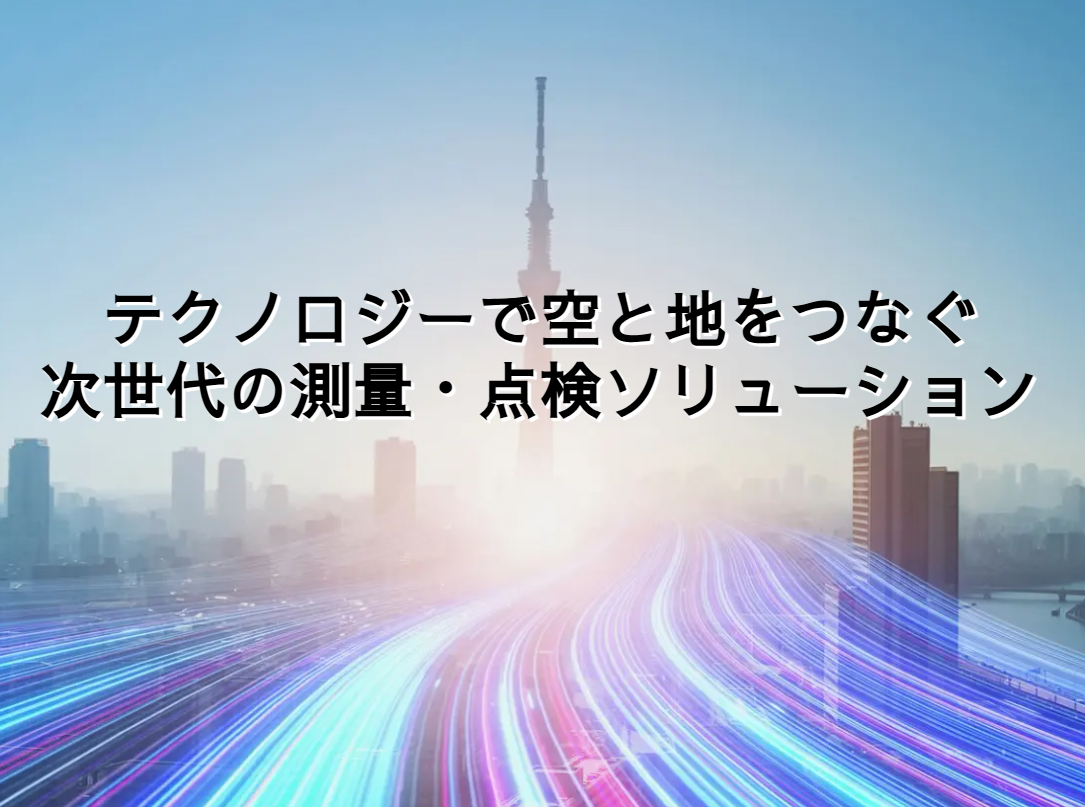 ＤＳＭ合同会社